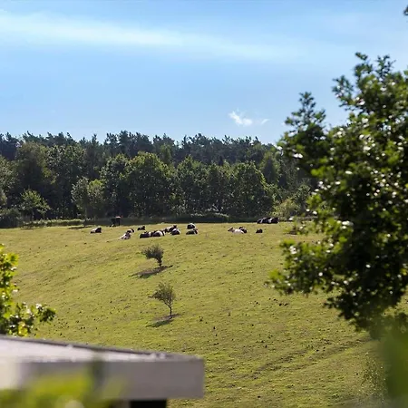 Holiday home 8403-ebeltoft-blackholmsvej-6 *